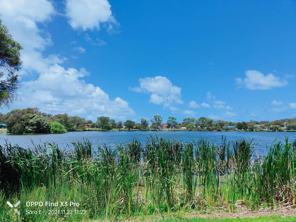 Jacoadder Jackadder Reserve no2 22/11/2021 by Saraeustace91 on DeviantArt