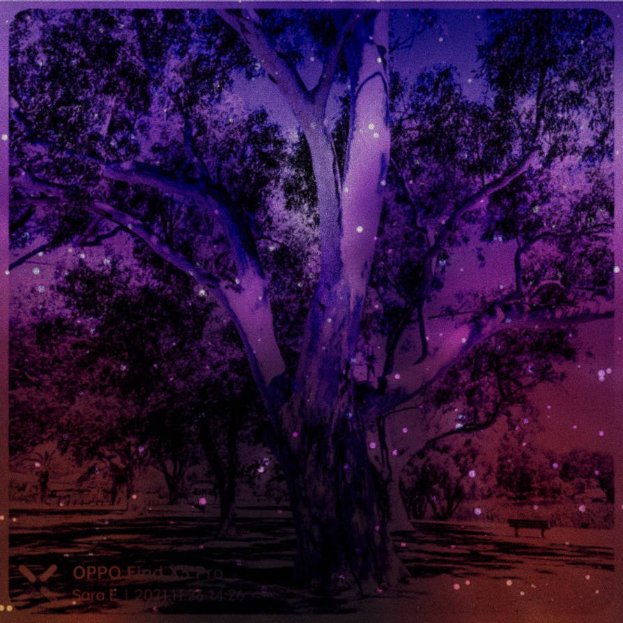 Jacoadder Jackadder Reserve exploration 24/11/2021 by Saraeustace91 on DeviantArt