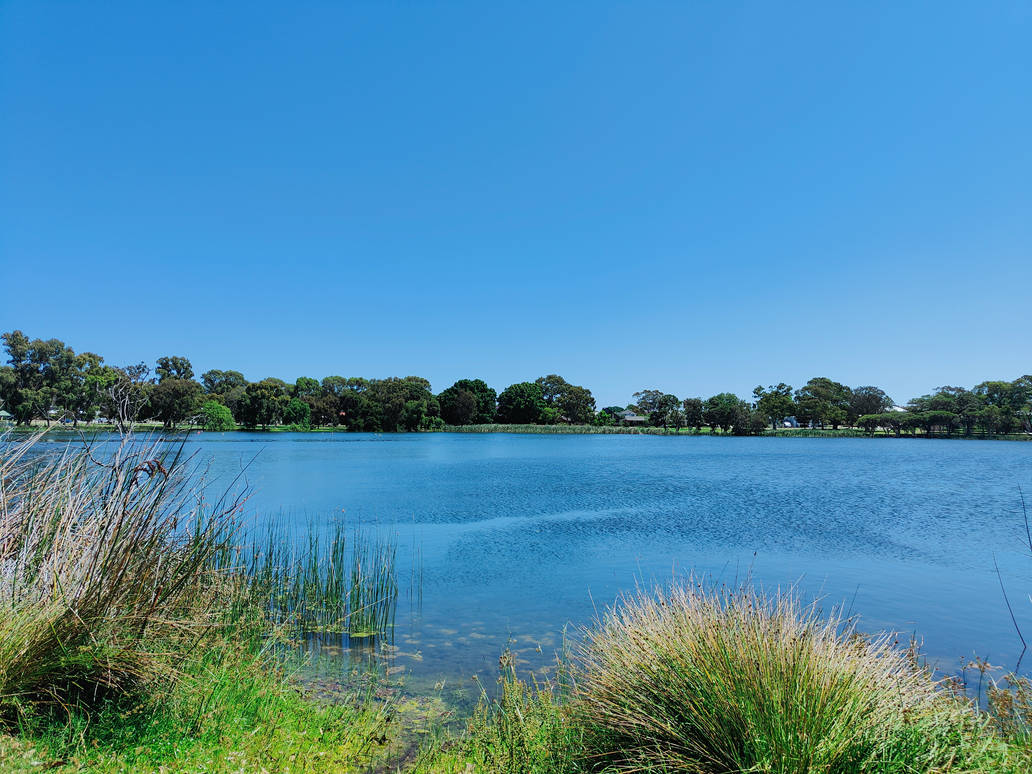 Jacoadder Jackadder Reserve no5 29/11/2021 by Saraeustace91 on DeviantArt