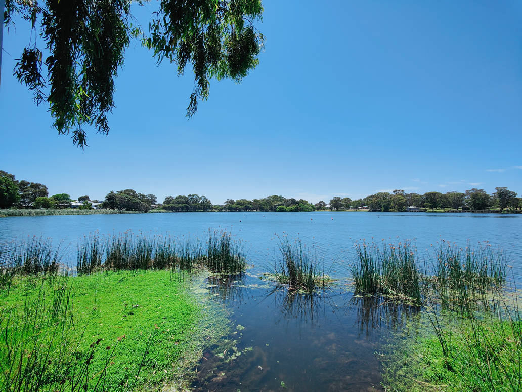 Jacoadder Jackadder Reserve no8 29/11/2021 by Saraeustace91 on DeviantArt