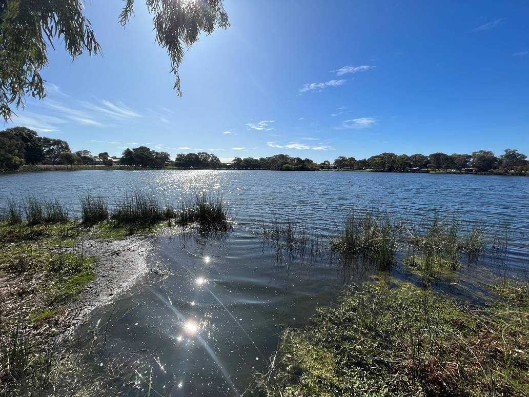 Jacoadder Jackadder Lake 3/10/2022 by Saraeustace91 on DeviantArt