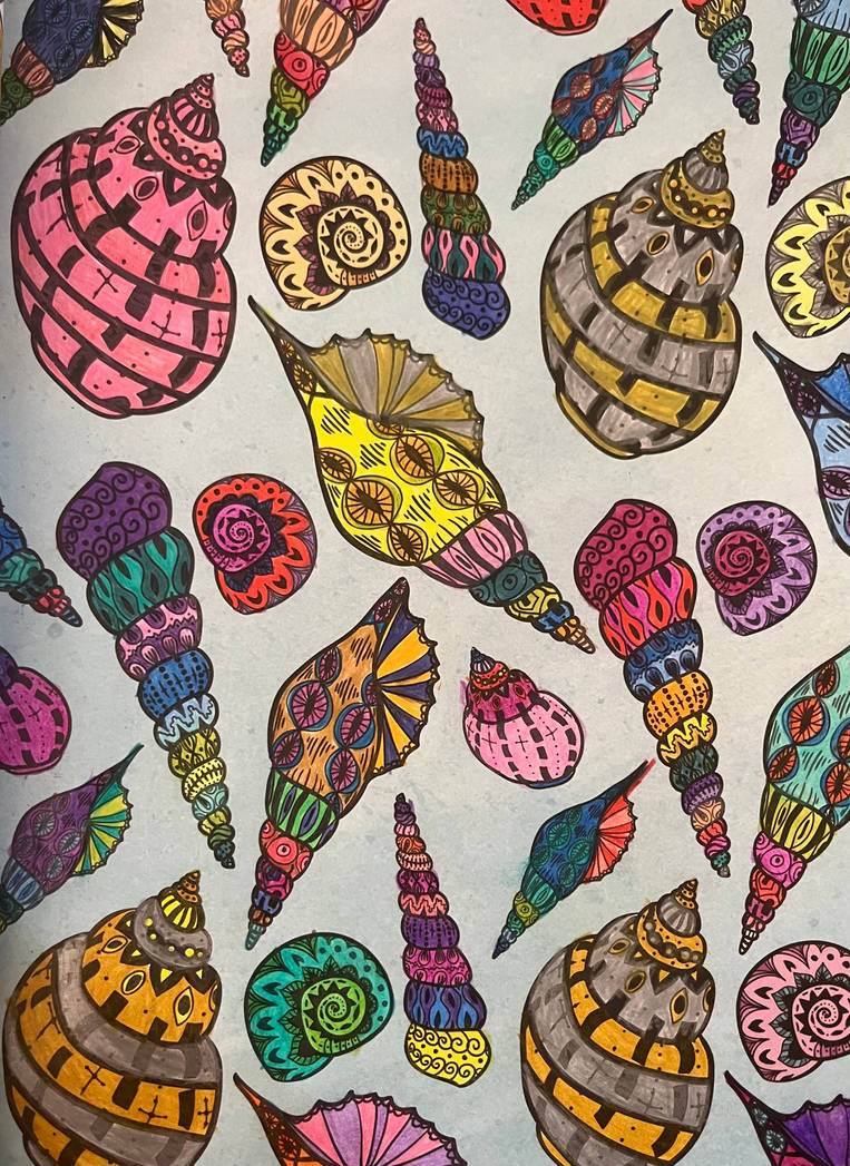 Colourful Shells 10/10/2022 by Saraeustace91 on DeviantArt