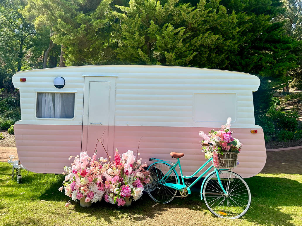 Pink Caravan Rapper Pink Caravan 22/9/2023 by Saraeustace91 on DeviantArt