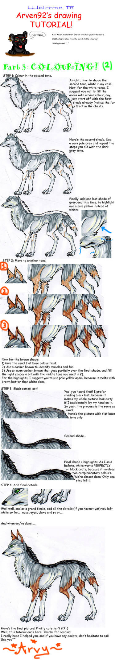 Drawing A Wolf Tutorial Part 3 by ARVEN92 on DeviantArt