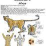 Reference Sheet - Africa