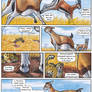 Africa -Page 8