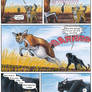 Africa -Page 11