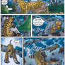 Africa -Page 45