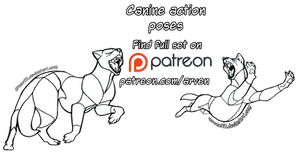 Pose Reference: Canines In Action + DLC