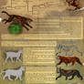 Azaroth Species Sheet