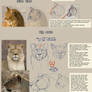 Patreon Tutorial: How To Draw Cat Heads