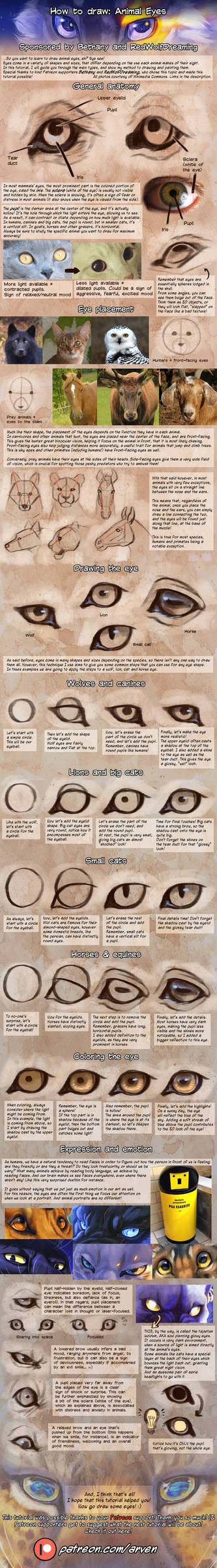 Patreon Tutorial: How To Draw Animal Eyes