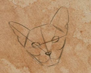 Cart7 by ARVEN92 Cart7 by ARVEN92