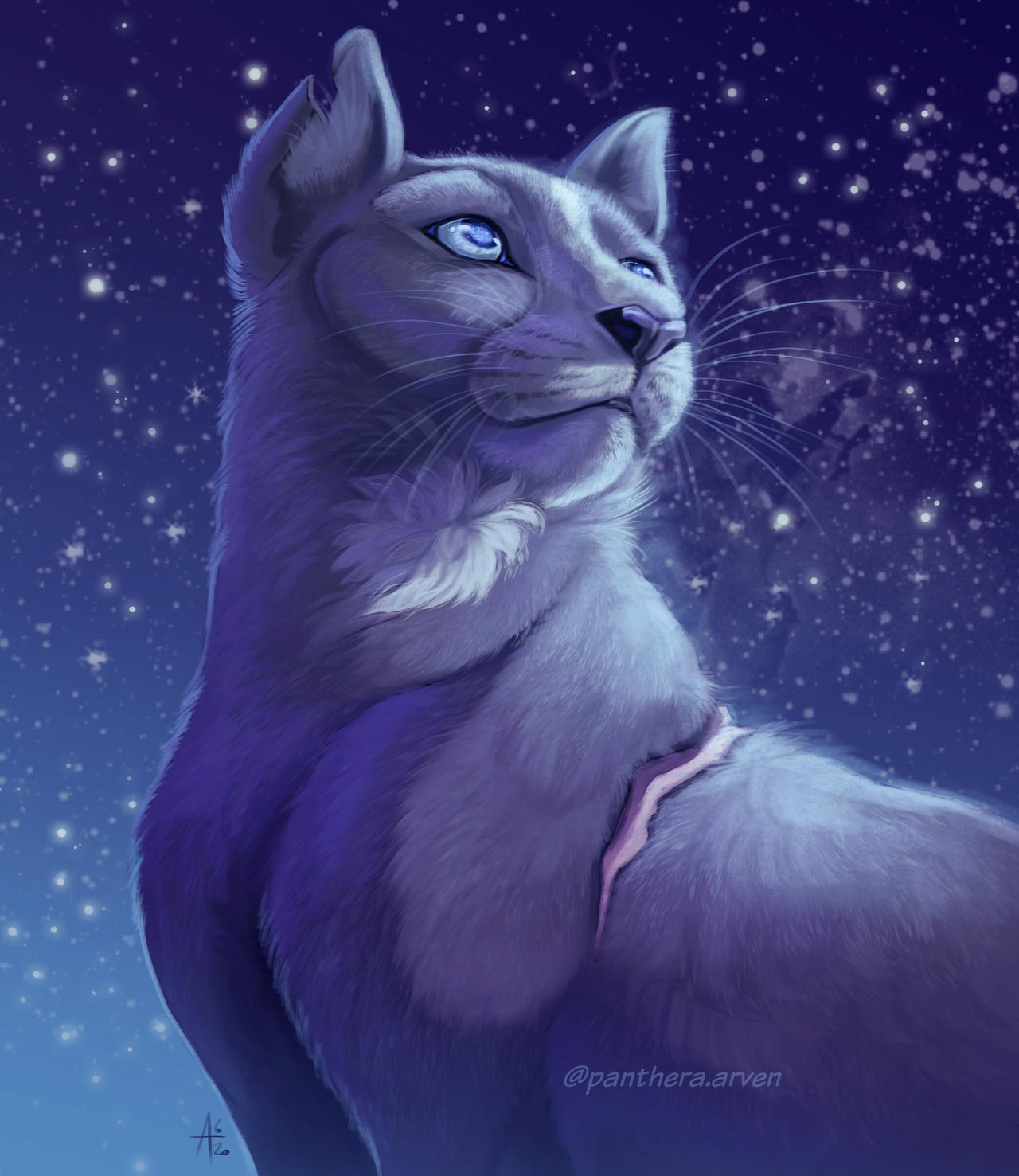 BlueStar - Warrior Cats by SilverSniper512 on DeviantArt