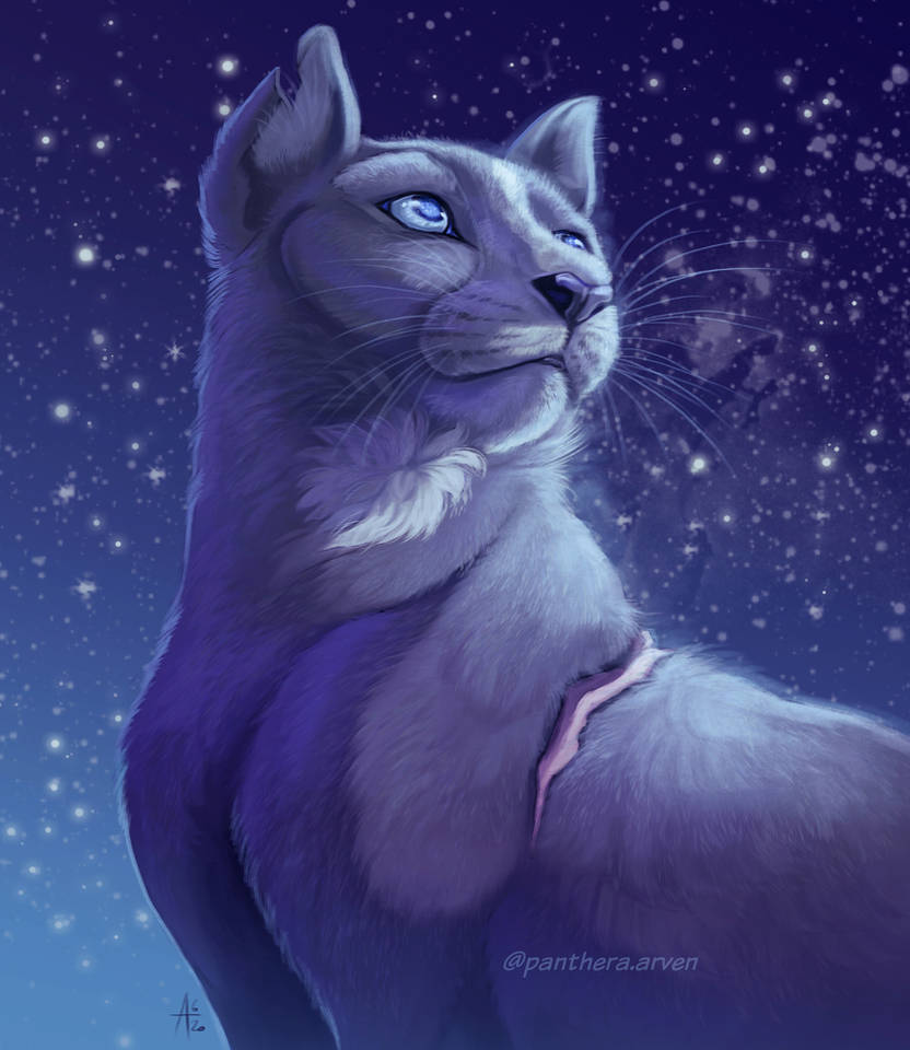 Синяя звезда из котов воителей. Коты Воители синяя звезда. Синяя звезда коты Воители арт. Коты Воители синяя звез. Синяя коты Воители синяя звезда.