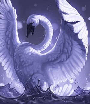 Trumpeter Swan [PATREON REWARD + NARRATED VIDEO]