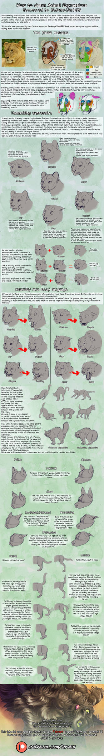 Patreon Tutorial: How To Draw Animal Expressions