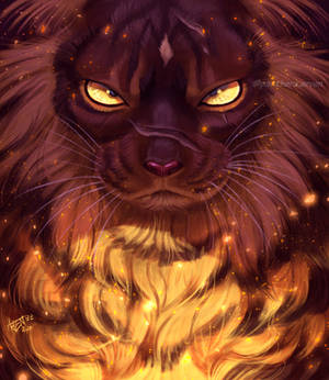 Tigerstar