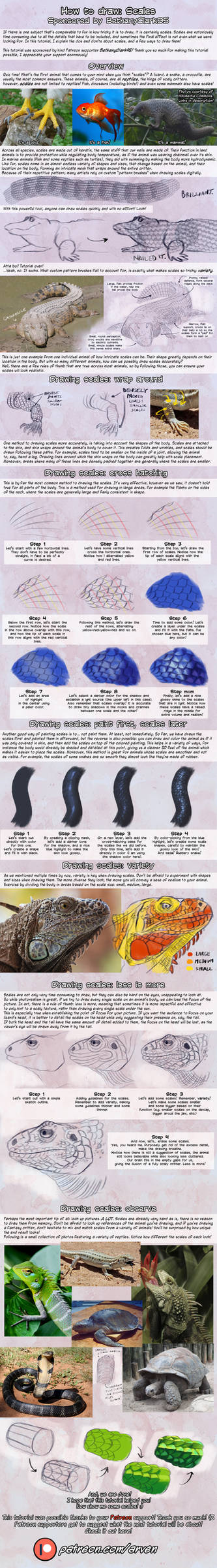 Patreon Tutorial: How To Draw Scales