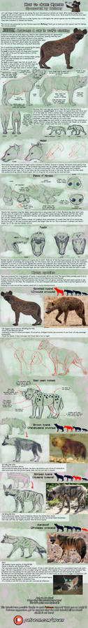 Patreon Tutorial: How To Draw Hyenas