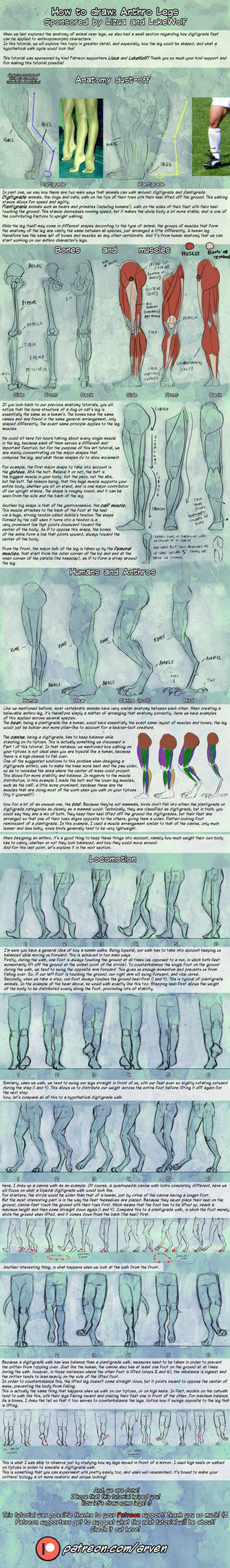 Patreon Tutorial: How To Draw Anthro Legs