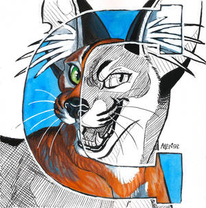 C is for... Caracal!