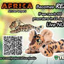 Africa Plushie Campaign!