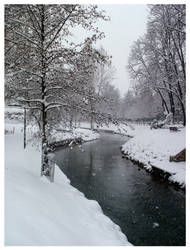 Snow in Treviso III