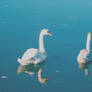 swans nr 6