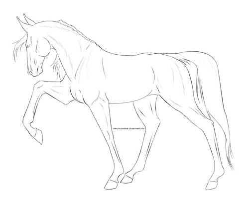 STOCK LINEART - Gaited Horse