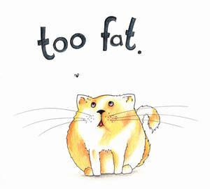 too fat.