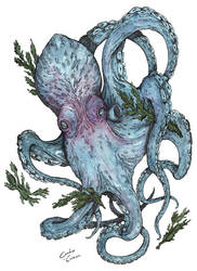 Blue Kraken