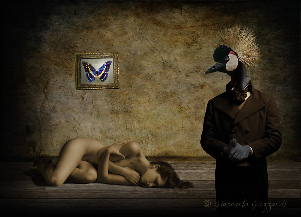 Never wings by KangTengri Never wings by KangTengri