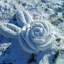 Winter Rose