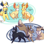 PKMNation | The Fluff and the Fluffless