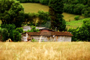 Tilt-shift II