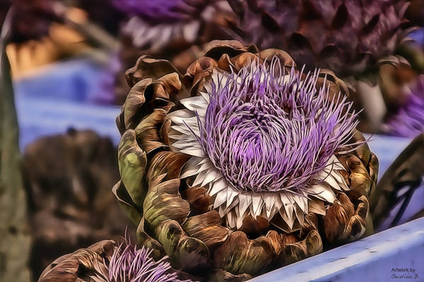 artichoke