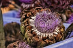 artichoke by chrissy261