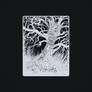 Snowblind