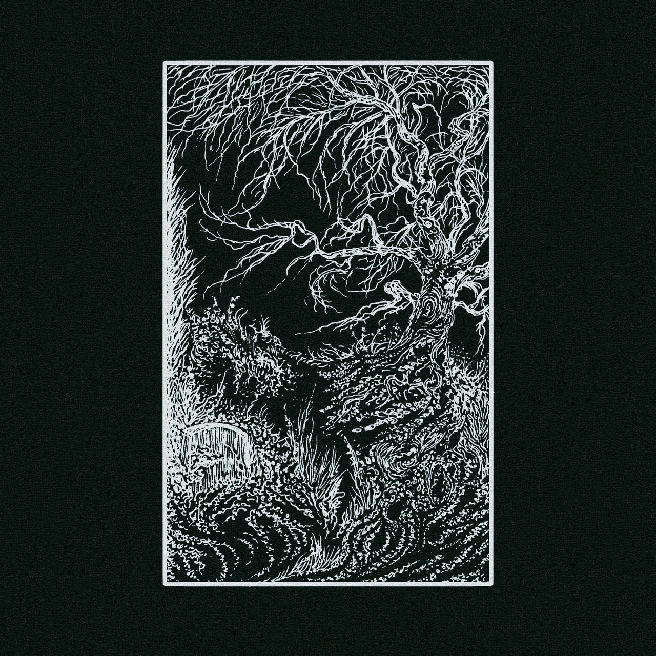 Your memory has not been overgrown