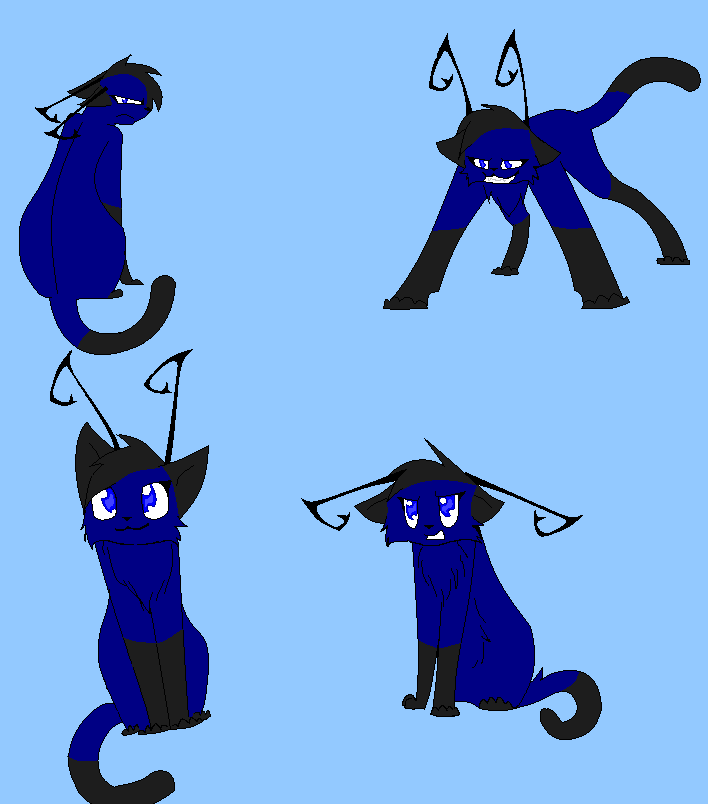 Rika cat doodles