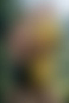 Aldebaran loves Captain