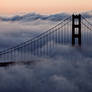 FOG