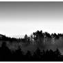 Pt Reyes 2
