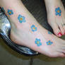Forget Me Not