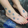 Forget Me Not Follow Up