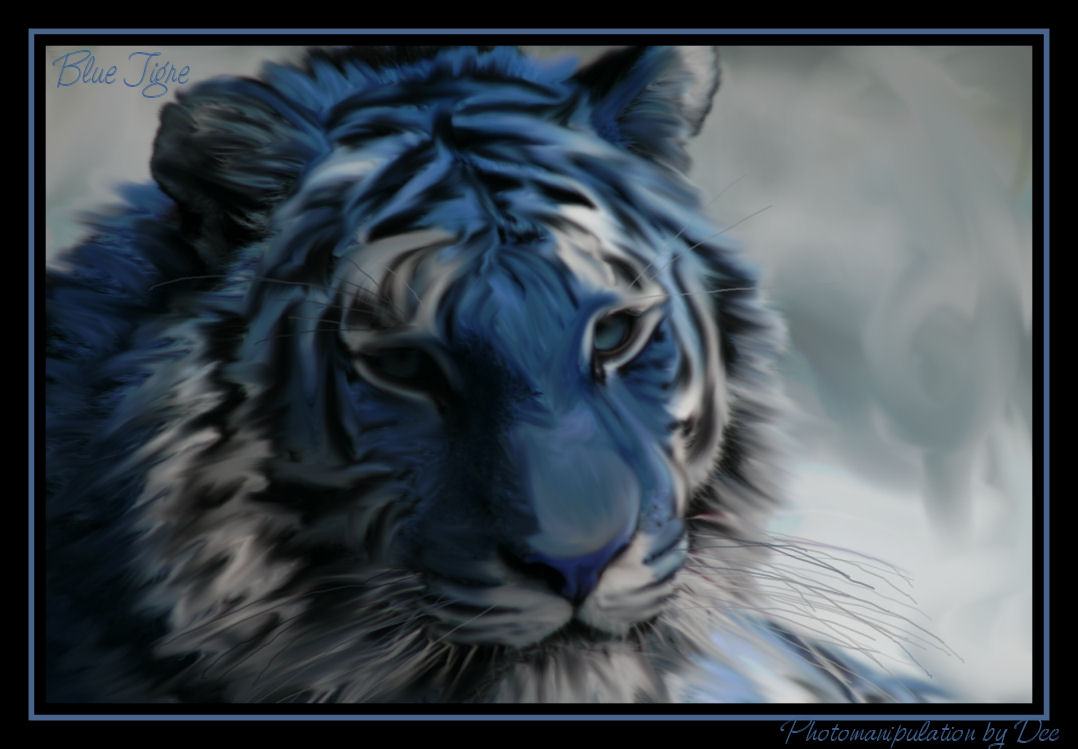 Blue Tigre By Dee