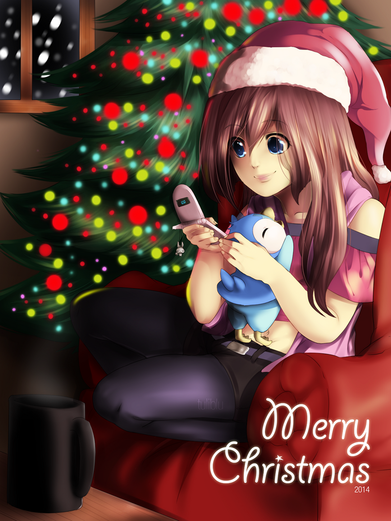 Merry Christmas 2014