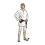 Luke Skywalker ANH