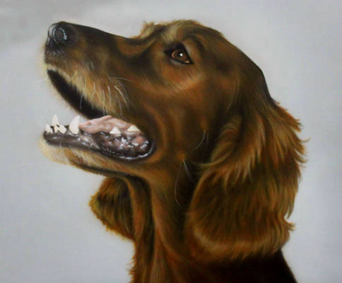 Airbrush. Setter